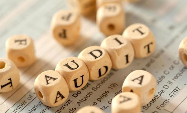 Financial Audits